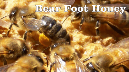 Bear Foot Honey